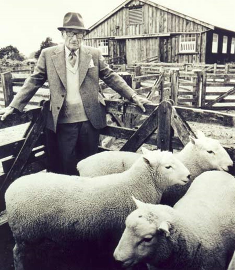 1978 - Prof GS Peren with Perendales