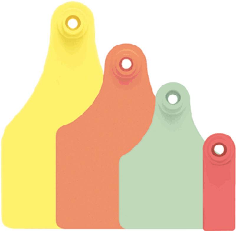 Allflex ear tags — Brian Murphy, John Burford