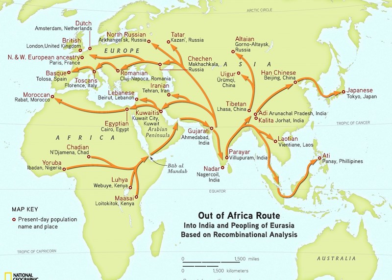 The 'Out of Africa' theory