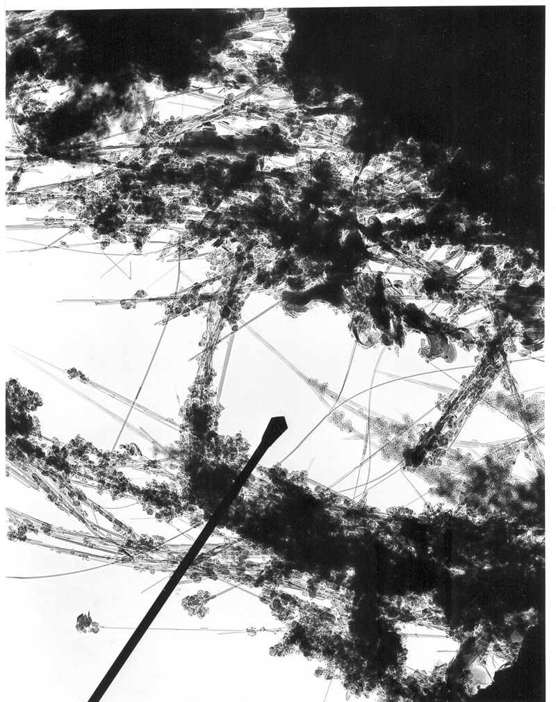 Carbon Nanotubes