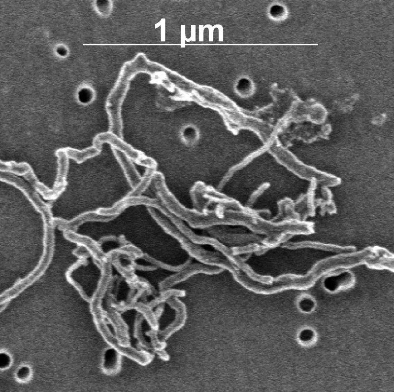Carbon Nanotubes