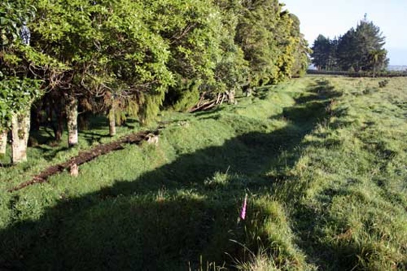 Trench warfare & Maori Pa