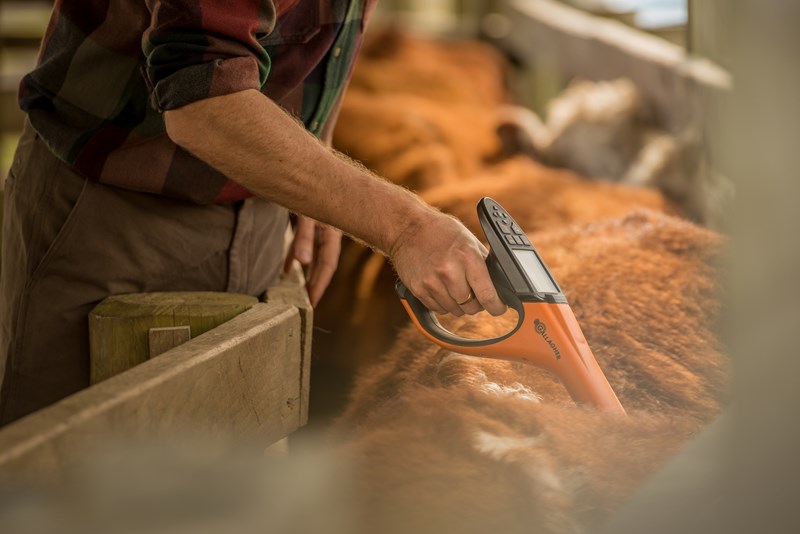 Gallagher systems around the farm
