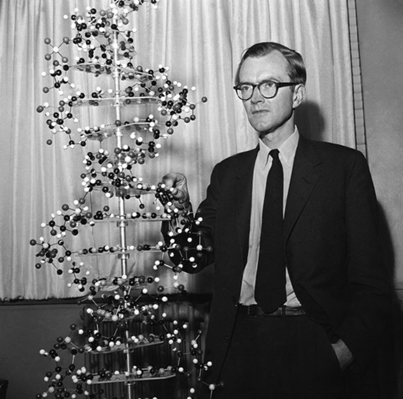 Discovery of DNA — gallery image