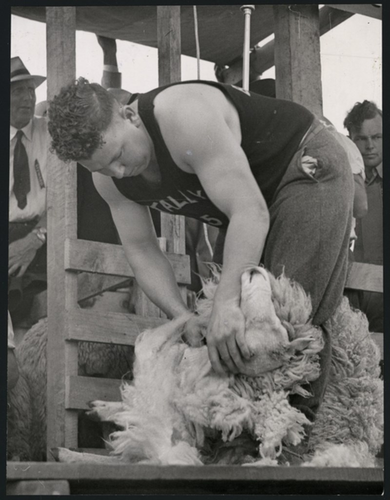 Wide-toothed shearing comb — gallery image