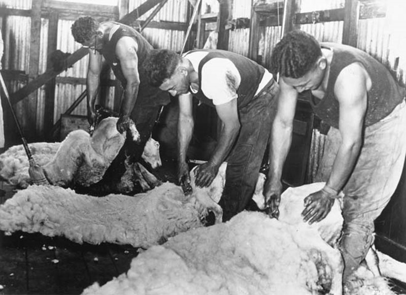 Wide-toothed shearing comb — gallery image
