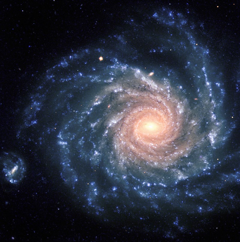 Evolution of galaxy / cosmology — Beatrice Tinsley