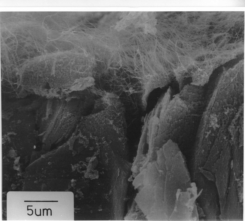 Carbon Nanotubes — gallery image