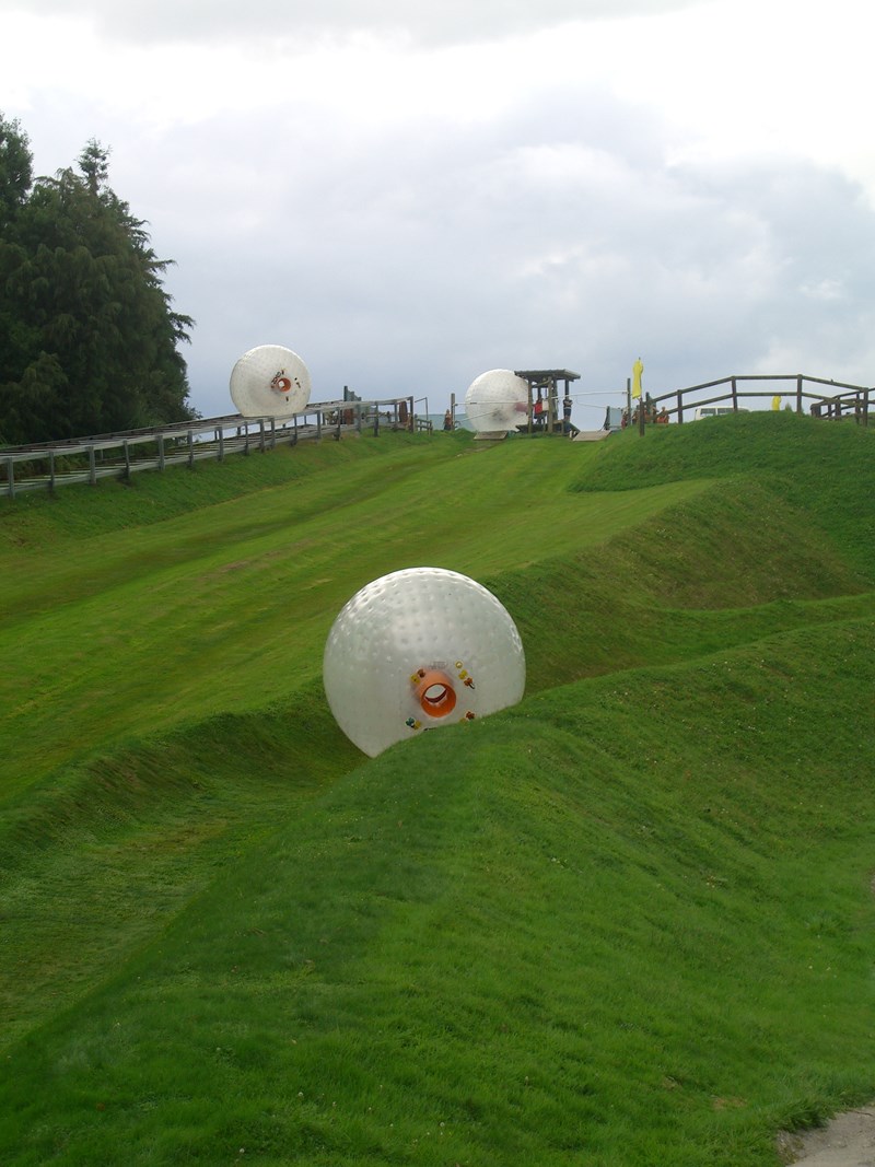 Zorb — David and Andrew Akers