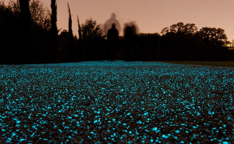Glowing paths — gallery image