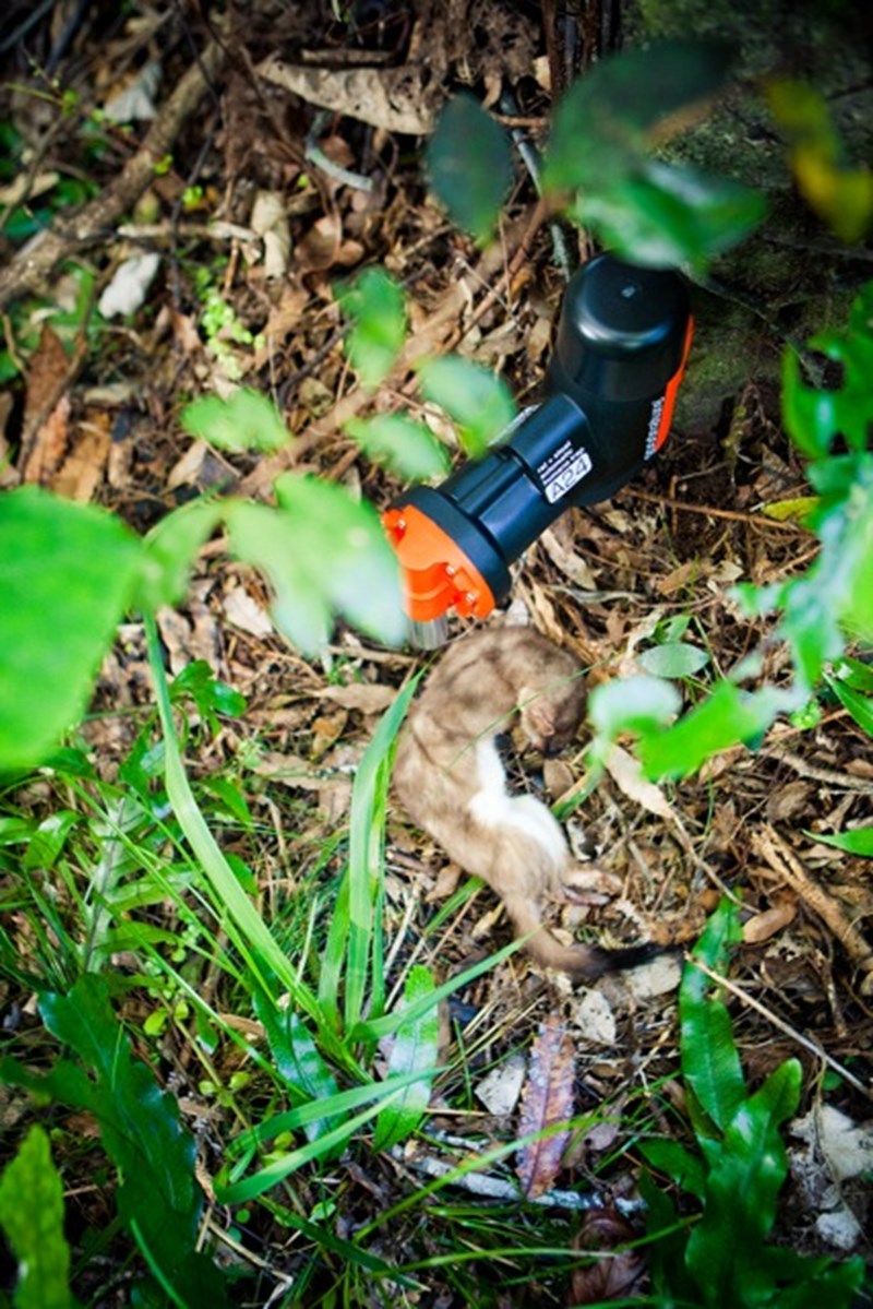 Resetting possum trap — gallery image