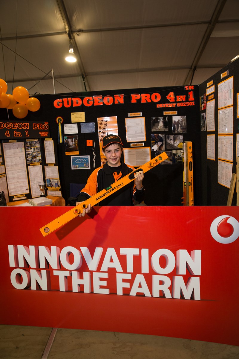 Gudgeon — gallery image